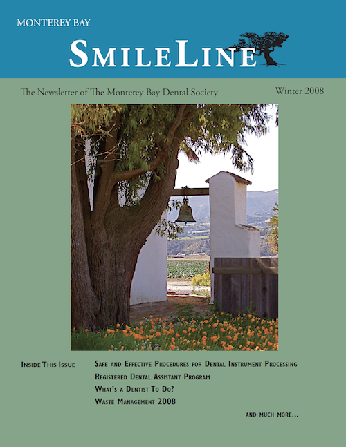 SmileLine Winter 2008