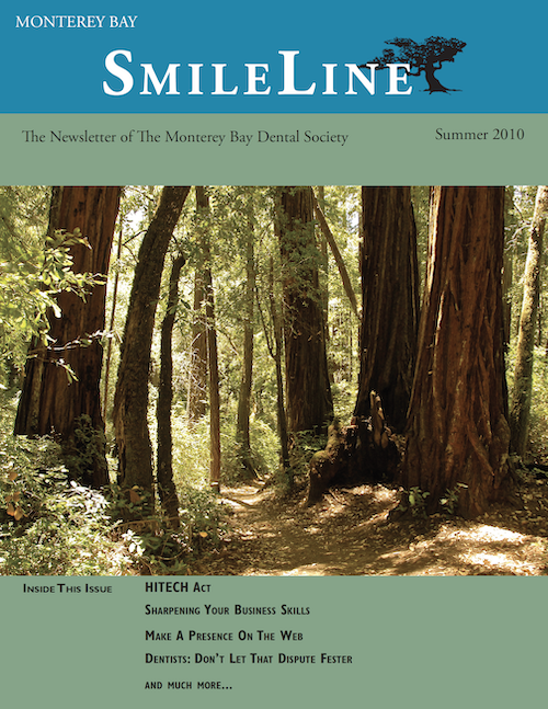 SmileLine Summer 2010